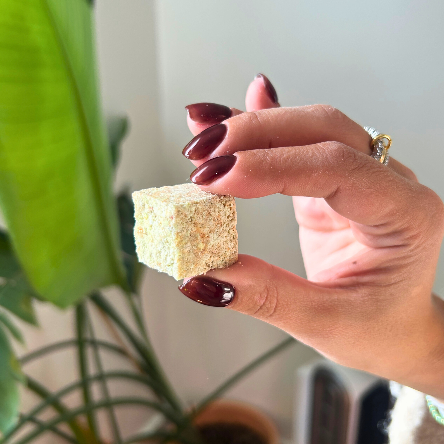 ritual cube - Vitality (活) (9 pack)