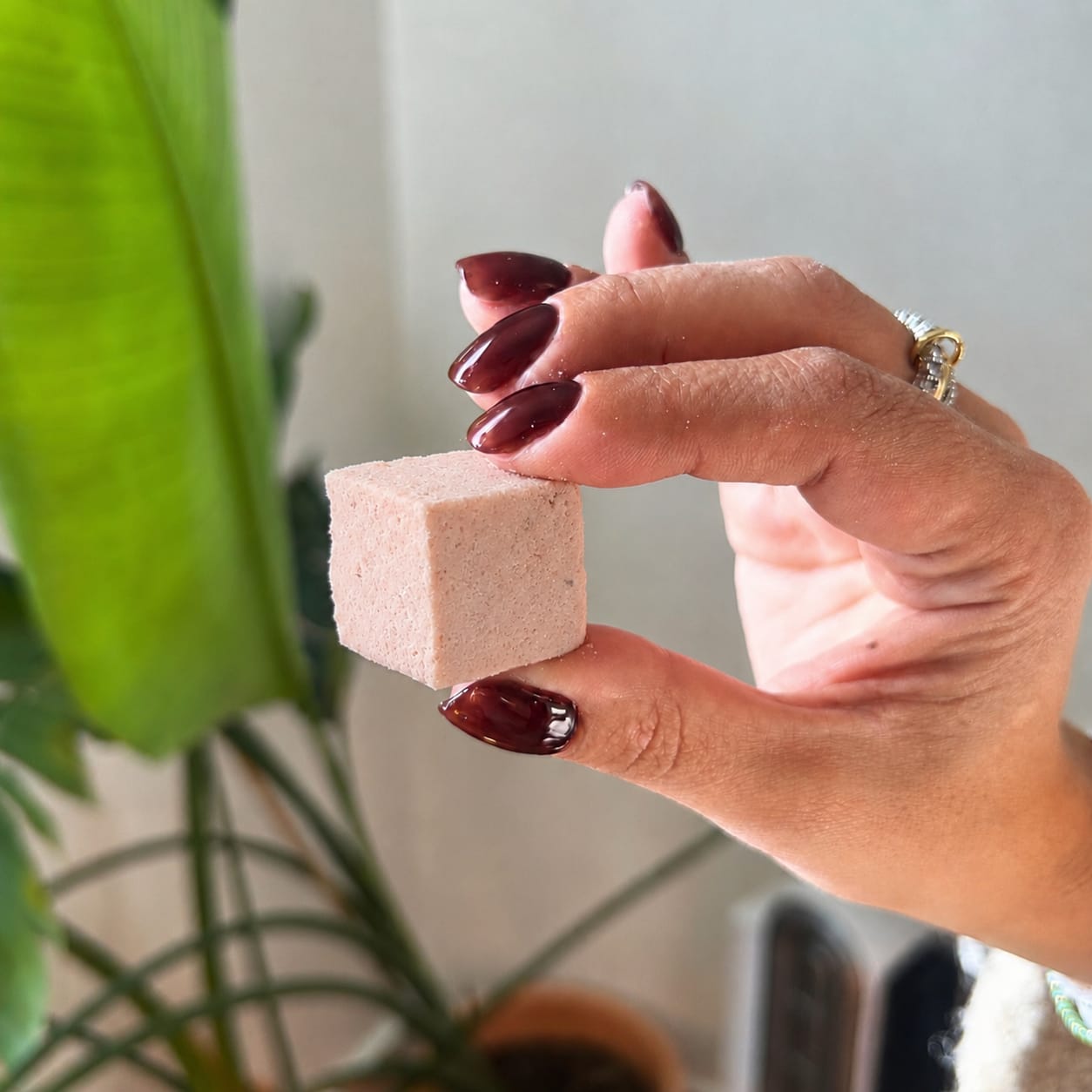 ritual cube - Vitality (活) (9 pack)